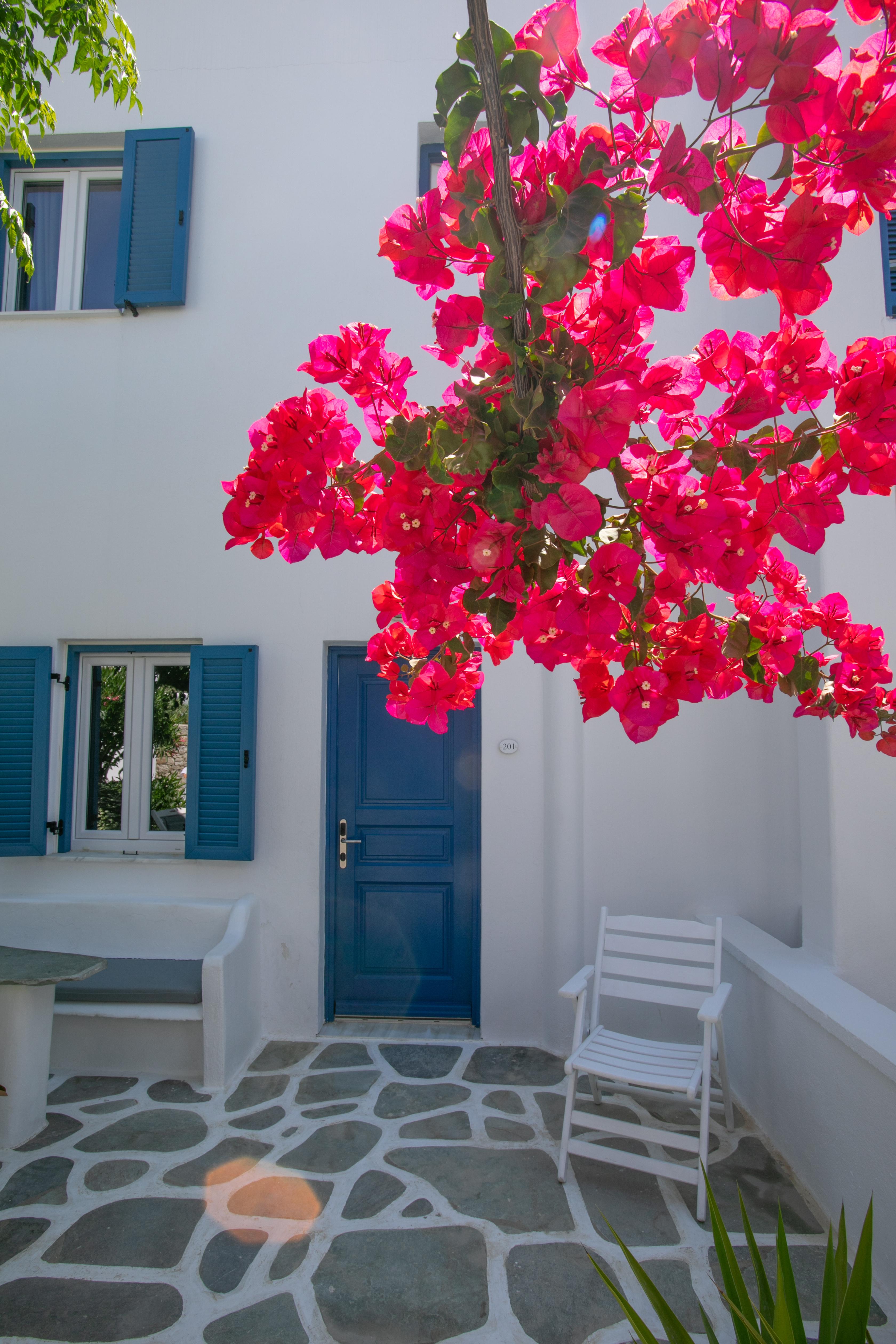 Acrogiali Beachfront Hotel Mykonos Platys Gialos  Exteriér fotografie