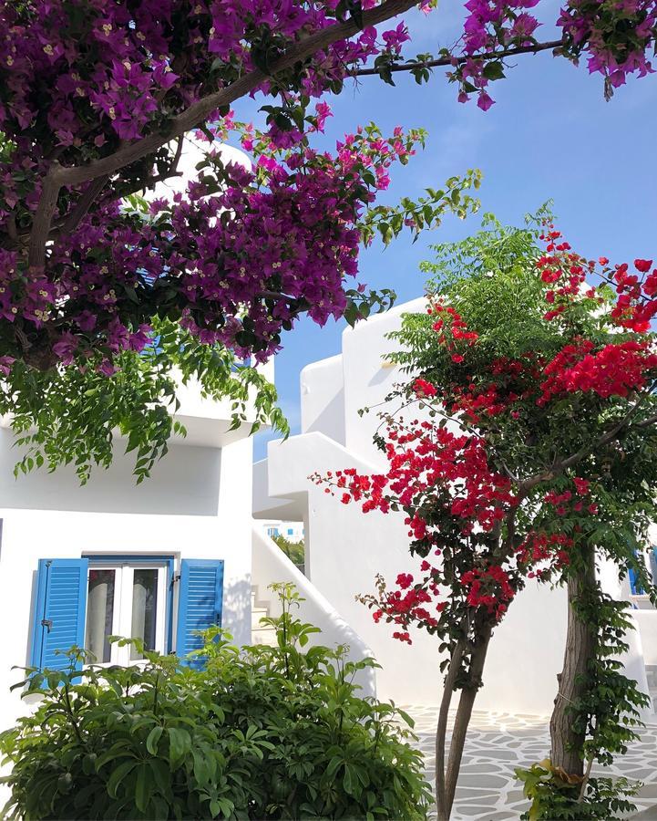 Acrogiali Beachfront Hotel Mykonos Platys Gialos  Exteriér fotografie