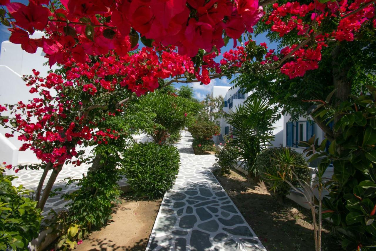 Acrogiali Beachfront Hotel Mykonos Platys Gialos  Exteriér fotografie